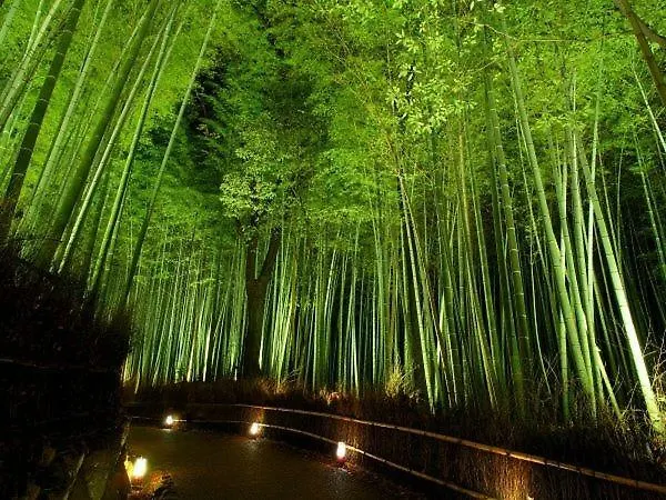 柏 一吾山房 Haku Ichigo-Sanbo Villa Kyoto 0*,
